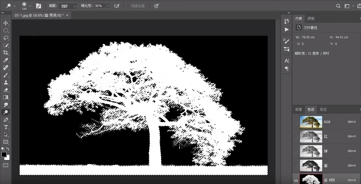 Photoshop 去背技巧多種運用