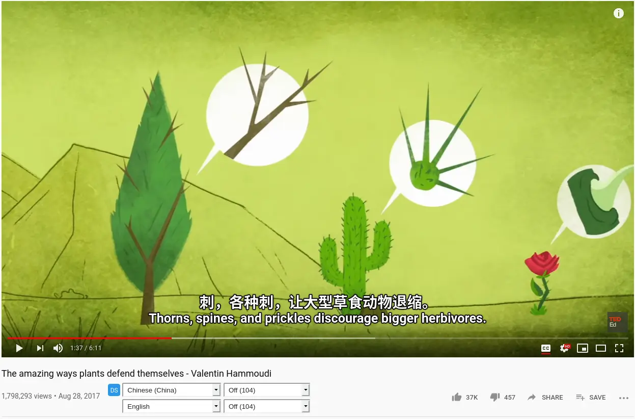 Youtube 顯示雙語字幕、自動英轉中文